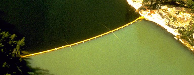 Aerial shot of a lake with two different shades of green