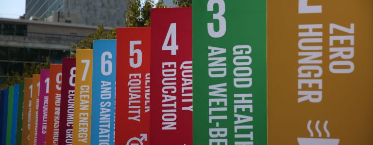 Sustainable development goals on poles outside of the SDG summit