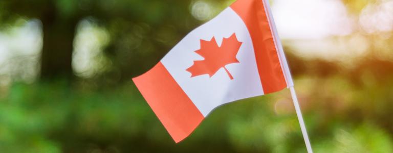 A hand holding a small Canadian flag with blurry trees in the background