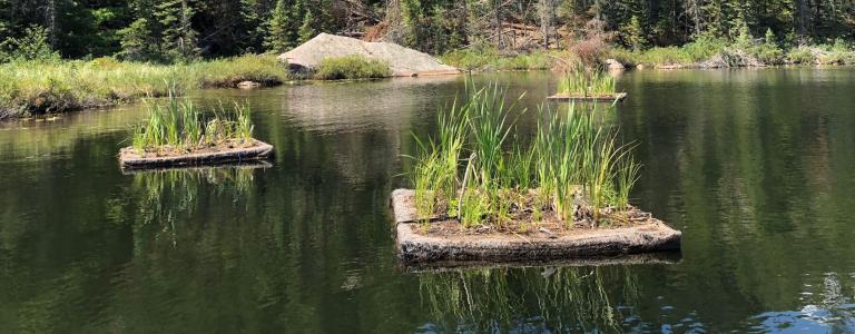 Floating Wetlands