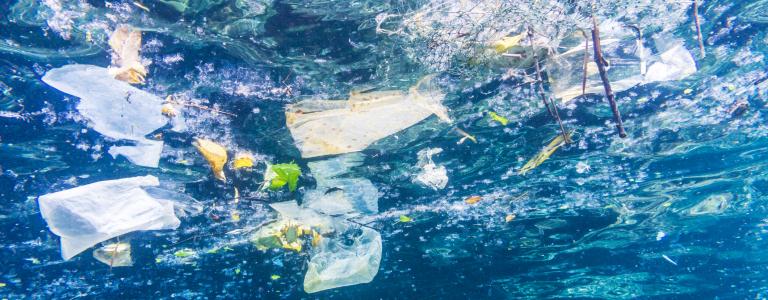 plastic waste floating on water