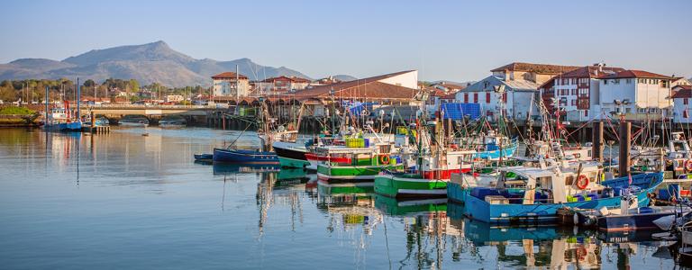 Fishing boasts in a harbour coastal village