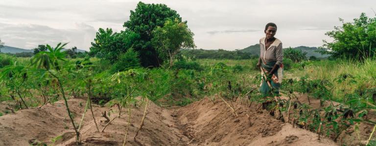 Woman_African_Agriculture