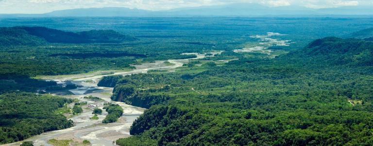 Amazonas river, Ecuador