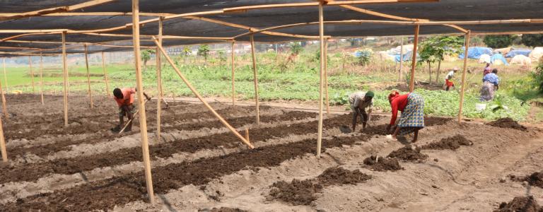 SUNCASA | Woman and man from ARCOS Network planting seedlings in a project nursery in Kigali. (Photo: CHA | SUNCASA)