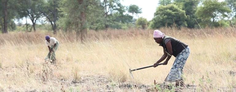 Two people hard at work on the restoration of the Nsongwe river in Zambia