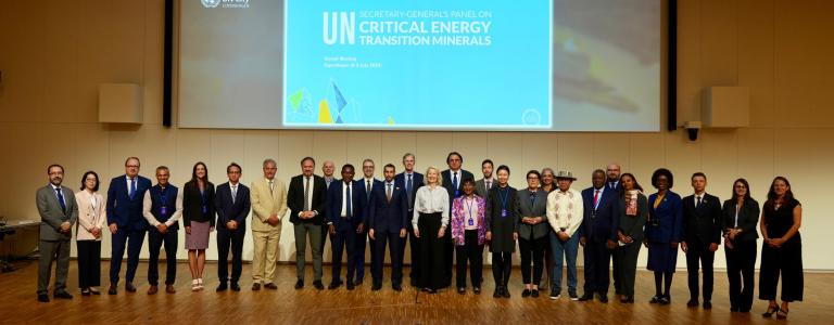 Members of the UN Panel on Critical Energy Transition Minerals