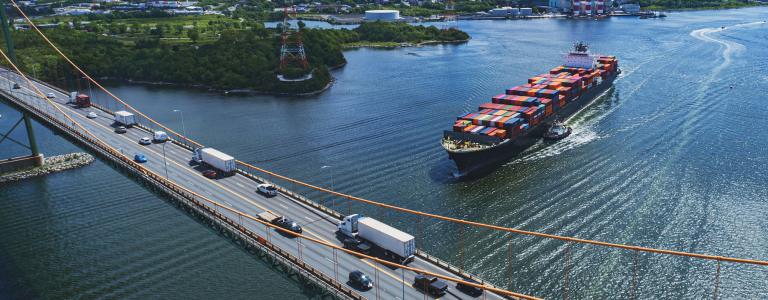 Container ship travelling under bridge