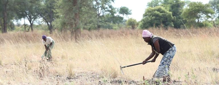 Women working on the land in Zambia