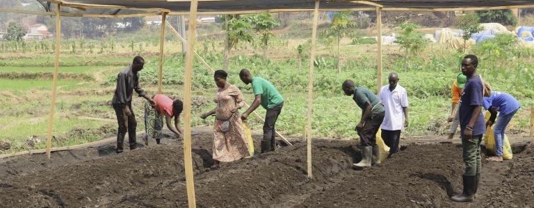 SUNCASA | Women and men planting seedlings in a project nursery in Kigali. (Photo: William Bidibura | ARCOS Network | SUNCASA)