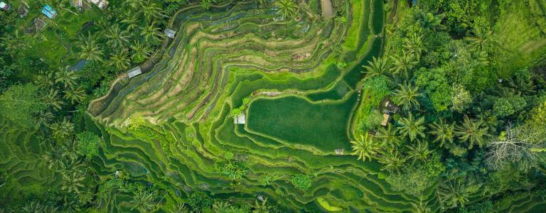 An aerial landscape shot of Indonesia.