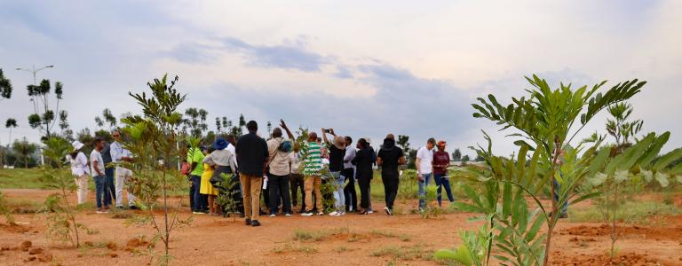SUNCASA | Field trip of SUNCASA Peer Learning Event to an afforestation site in Kigali.