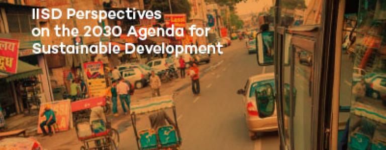 sustainable-development-goals-iisd-perspectives.jpg