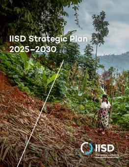 IISD Strategic Plan 2025–2030 cover showing a woman holding sticks at the bottom of a hill surrounded by trees and vegetation.
