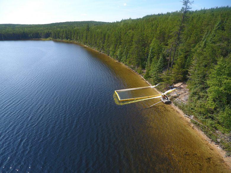 yellow booming against the shoreline of a freshwater lake