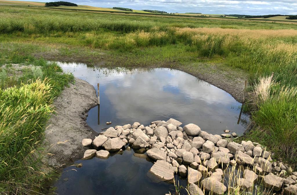 Snapshot of pelly landing body of water