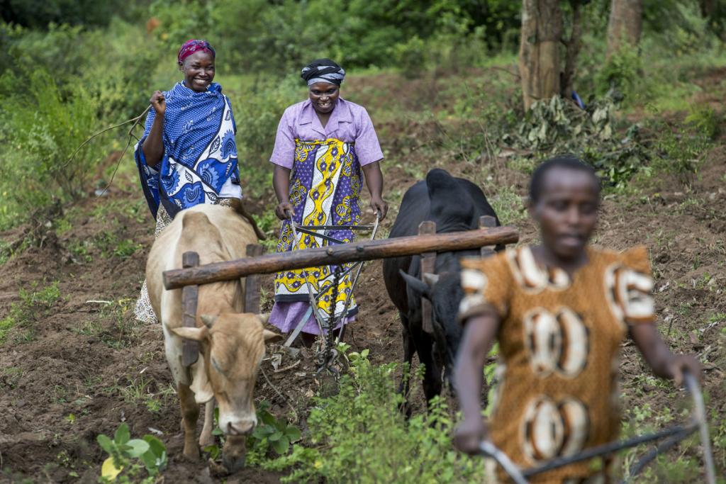 Women farming