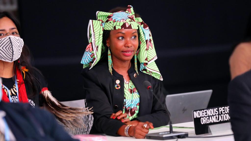 Hindou Oumarou Ibrahim of Association des Femmes Peules et peuples Autochtones du Tchad