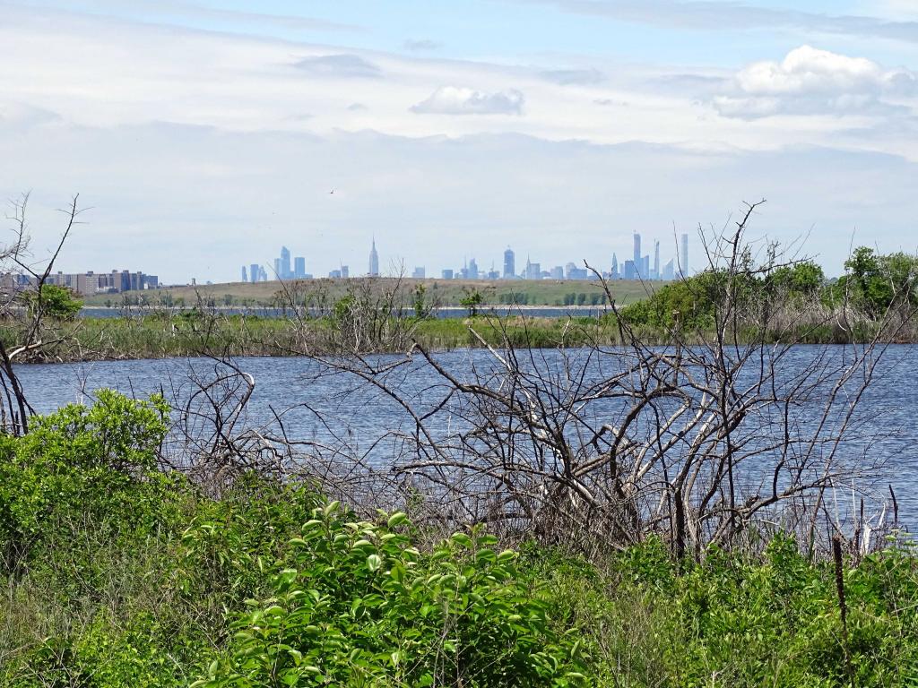 Jamaica Bay National Wildlife Refuge in New York City