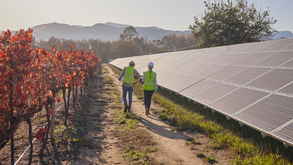 Technicians walk past solar panels on a farm with mountains in the distance.