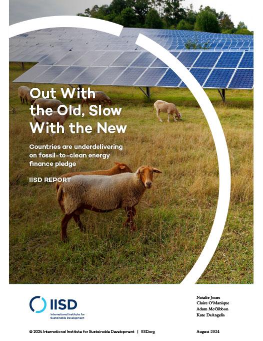 Out With the Old, Slow With the New report cover showing sheep grazing near solar panels.