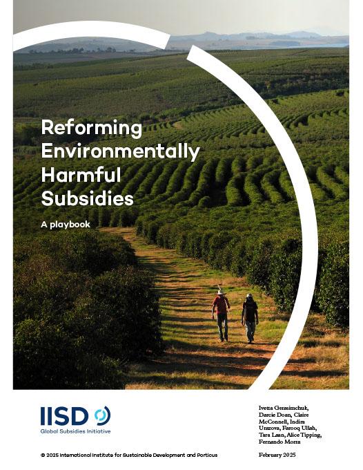 Reforming Environmentally Harmful Subsidies report cover showing two farmers walking through a row of crops at a coffee plantation.