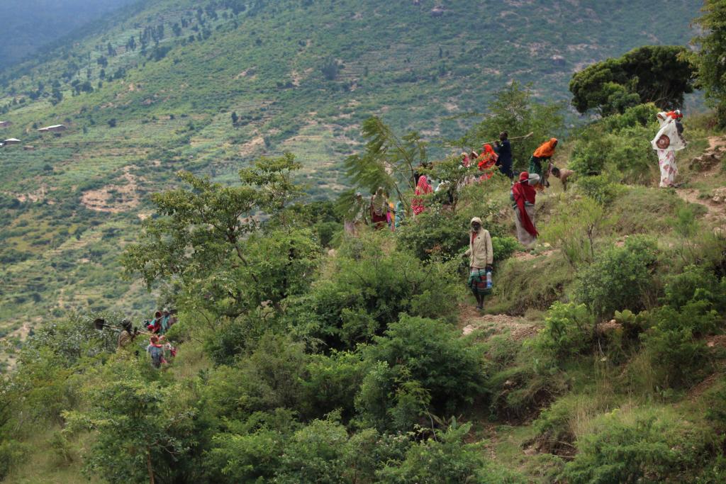 SUNCASA | Community members working on an afforestation site at Harla Kebele, in Dire Dawa, Ethiopia.