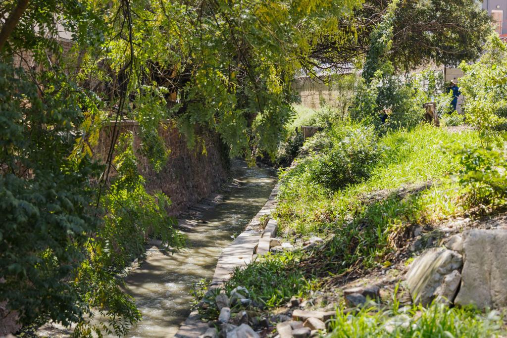 SUNCASA | Afforestation site next Victoria Yards in Johannesburg, South Africa