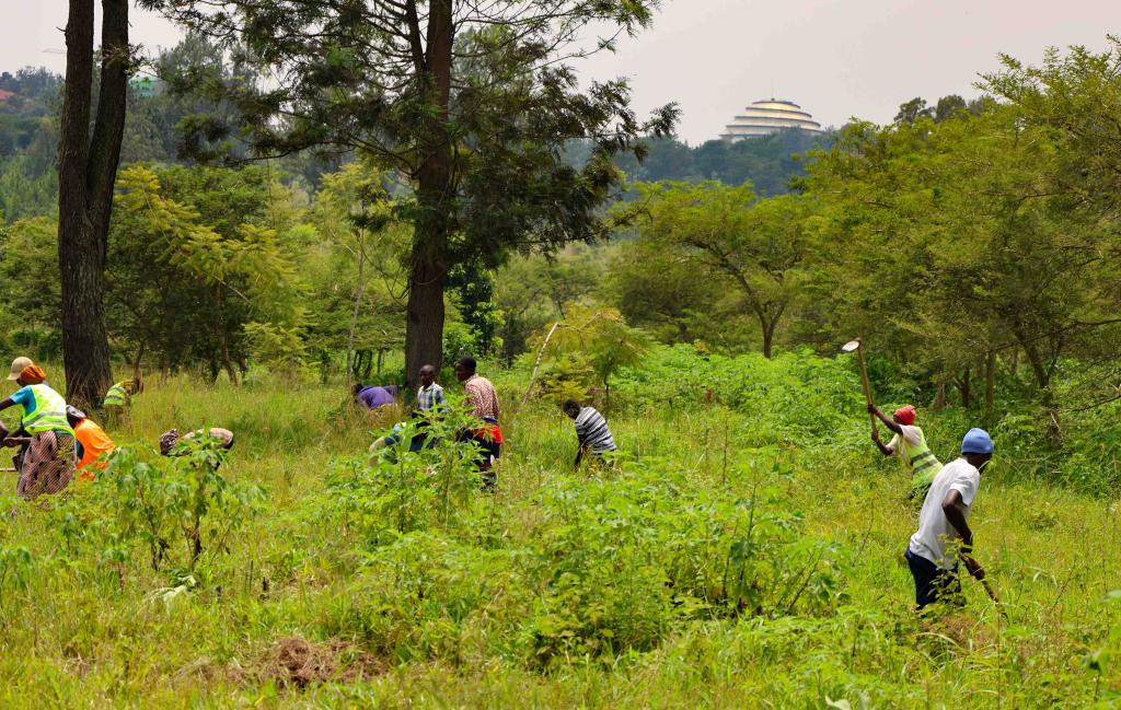 SUNCASA | ARCOS Network staff working on a reforestation site in Kigali.