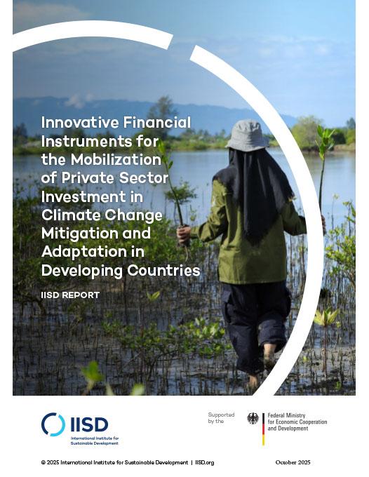 Innovative Financial Instruments for the Mobilization of Private Sector Investment in Climate Change Mitigation and Adaptation in Developing Countries report cover showing a woman holding mangrove saplings near a river.