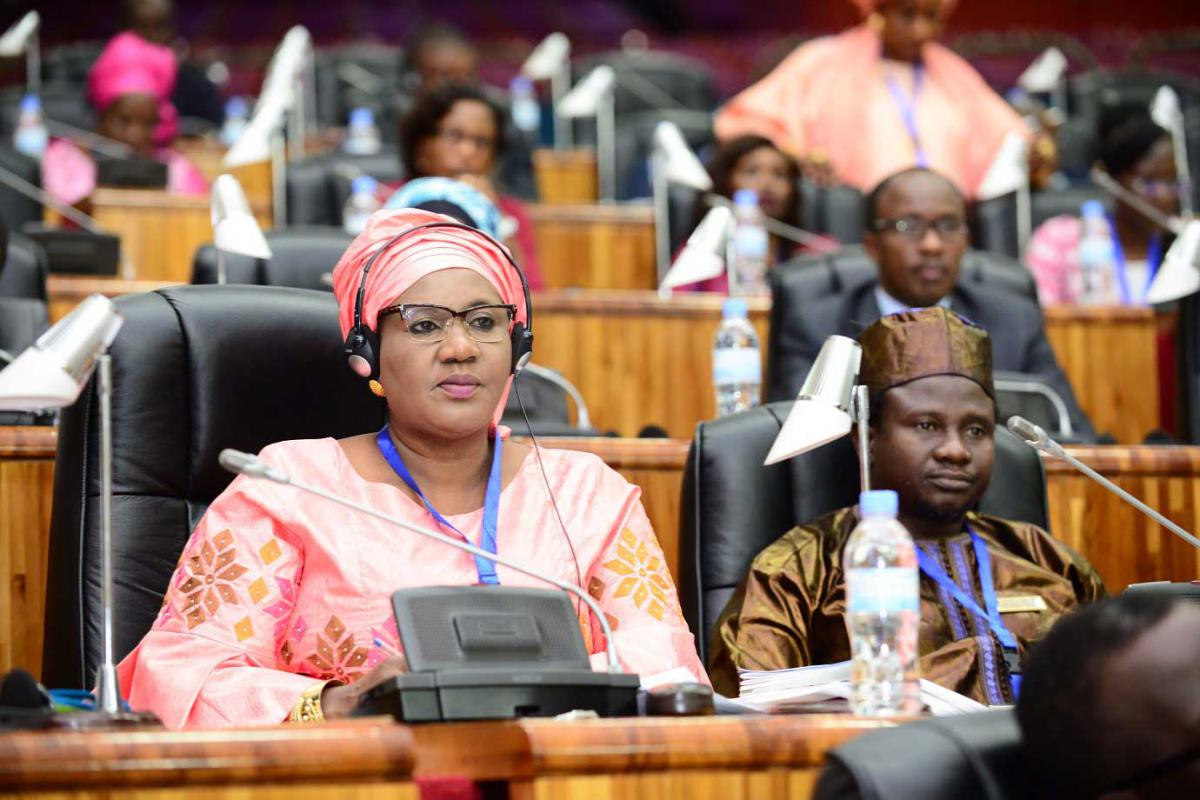 Participants listening to speaker at ECOWAS